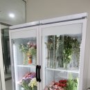 영산플라워