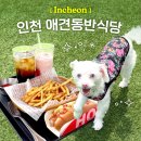 개떼놀이터 인천점 | 강아지 운동장 있는 인천 애견동반식당 개떼놀이터