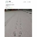 예대복사 이미지