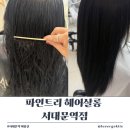 아로마헤어살롱 | 모리타 클리닉 서대문역미용실 파인트리 헤어살롱 솔직 후기