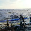 (주)아름푸드 이미지