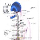 고려수지침 상응요법 기본