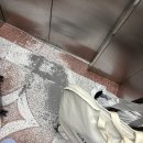 다올목장 | 4일동안 낭만 제주 ! (웨딩스냅, 셀프웨딩비디오)