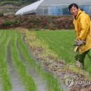 논두렁