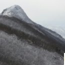 경보사슴 이미지