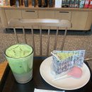 세븐일레븐진주평거BYC점 | 스타벅스 코코말차 커스텀 &amp; 케이크팝 | 2025 크리스마스 시즌 신메뉴 &amp; 겨울 프리퀀시 실물 후기