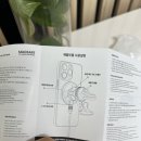 세이프오토 이미지