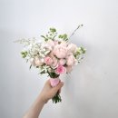 청주 안개부케 꽃다발 웨딩촬영용 부케~[청주청주 가경동 비하동 강서동 복대동 꽃집]