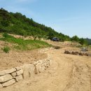 돌담농장 이미지