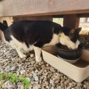 설문스파랜드 이미지