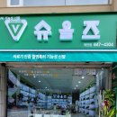 슈올즈 제천점