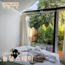 민화 속 반려동물 | 협재 반려동물 동반 독채 펜션 놀당스테이 숙박 후기