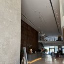 나트랑 시내 디셈버 호텔 후기 , 근처 식당 추천 cccp커피 음료 추천 , 분까하이카 오징어쌀국수