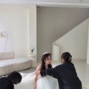 아벨헤어 이미지