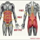 저스트코어 이미지
