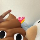 개구리노래방 이미지