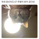 WR(대구광역시 중구)-67[동덕로]-하-10 | 최대한 담백하게 사는 것