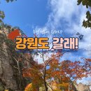 진천 스카이사우나 | 추석 황금 연휴에 뭐하지? 강원도 여행 갈래!