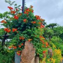 은진카센타 이미지