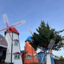 꿈꾸는풍차애견동반펜션 | 강릉 꿈꾸는 풍차 애견 동반 펜션, 사근진해변 가성비 좋은 숙소