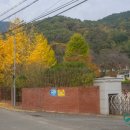 궁류면사무소 이미지