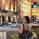 볼거리, 즐길거리 가득! 상해가볼만한곳 ㅣ 마시청서커스 후기 ㅣ 나나트래블 단독투어