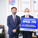 미송 이미지