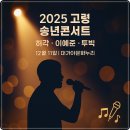 대가야문화누리 우륵홀 | 2025년 고령 송년 콘서트 초대가수 라인업 허각, 이예준, 투빅(12월11일 대가야문화누리 우륵홀)