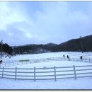 하늘목장 이미지