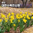 신선로 447번길 이미지