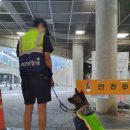 견학생스쿨 이미지