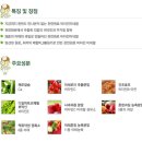 브이멀티 이미지