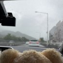 스테이 소돌 이미지