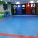 고려대 명문 태권도 이미지