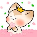 정선푸드 이미지