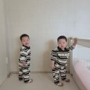 아기 첫 걸음마 신발 꼬무신, 쌍둥이 실사용 후기 (신발 거부 극복!)