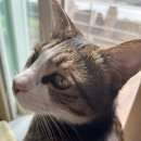 365축산할인판매장 이미지