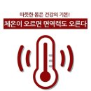 원적외선체온관리점핑다이어트