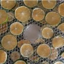 정석농장 이미지