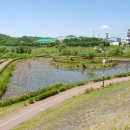 번암리 조천연꽃공원1 이미지