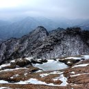 한승훈 카카오 검색결과