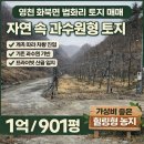 솔라공인중개사사무소 이미지