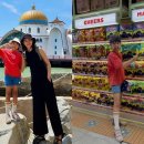 로아인터네셔널 이미지