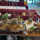 청수선원 이미지