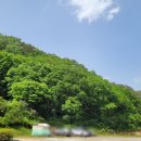 상관편백숲 공영주차장 이미지