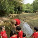 큰별자리어린이집 이미지