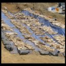 청주흥덕지구축구공원 이미지