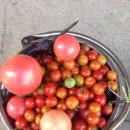 규용농장 이미지