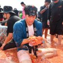 "토마토 속 풍덩, 황금반지를 찾아라"... 화천 토마토축제 다시 달아올랐다 이미지
