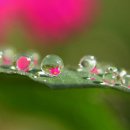 아름다운 아침 이미지